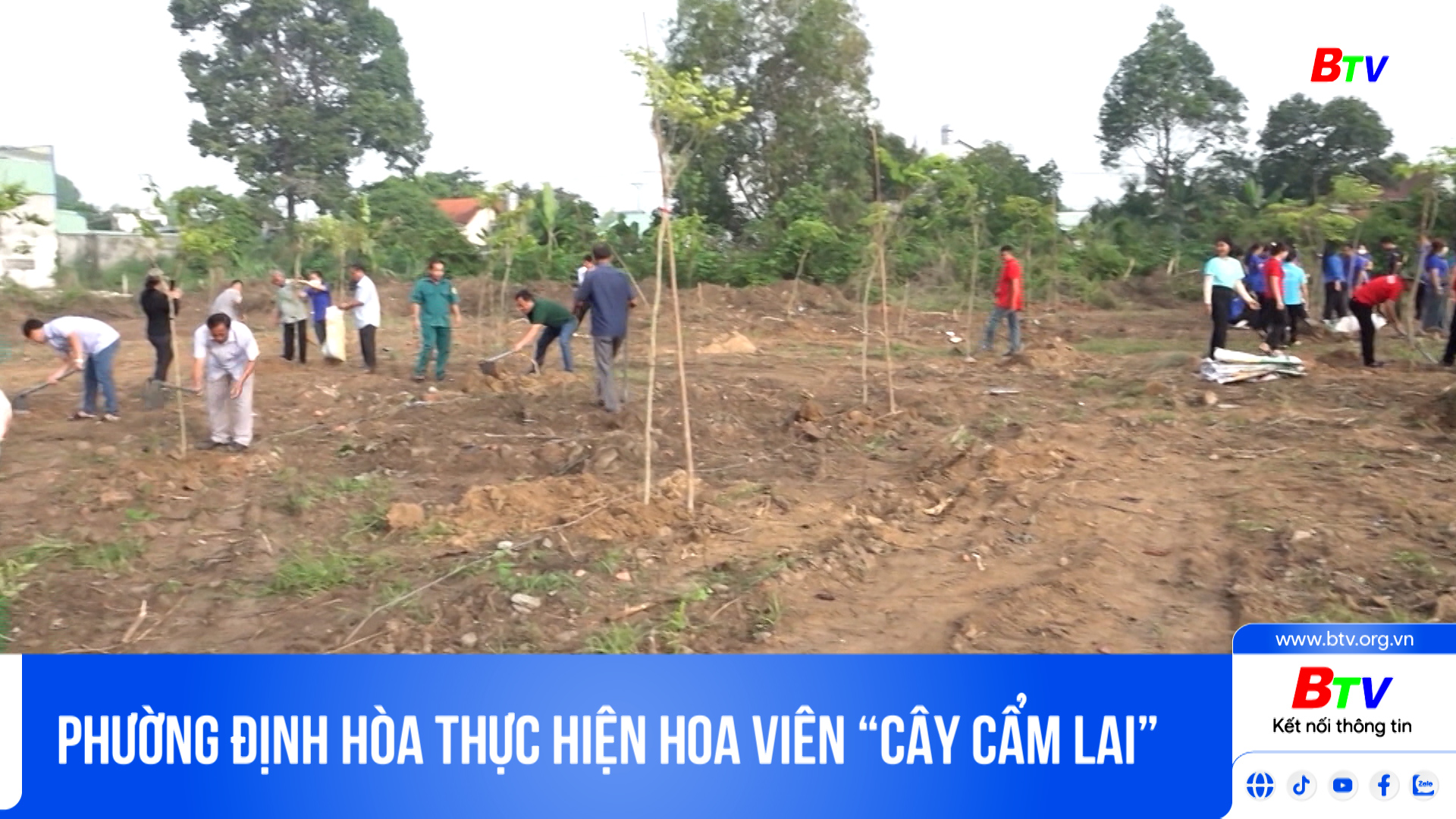 Phường Định Hòa thực hiện hoa viên “Cây cẩm lai”